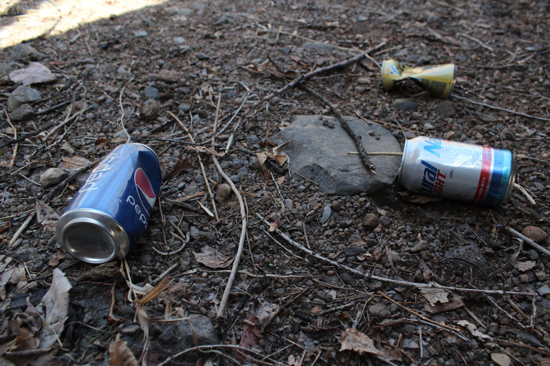 Empty soda cans on the ground
