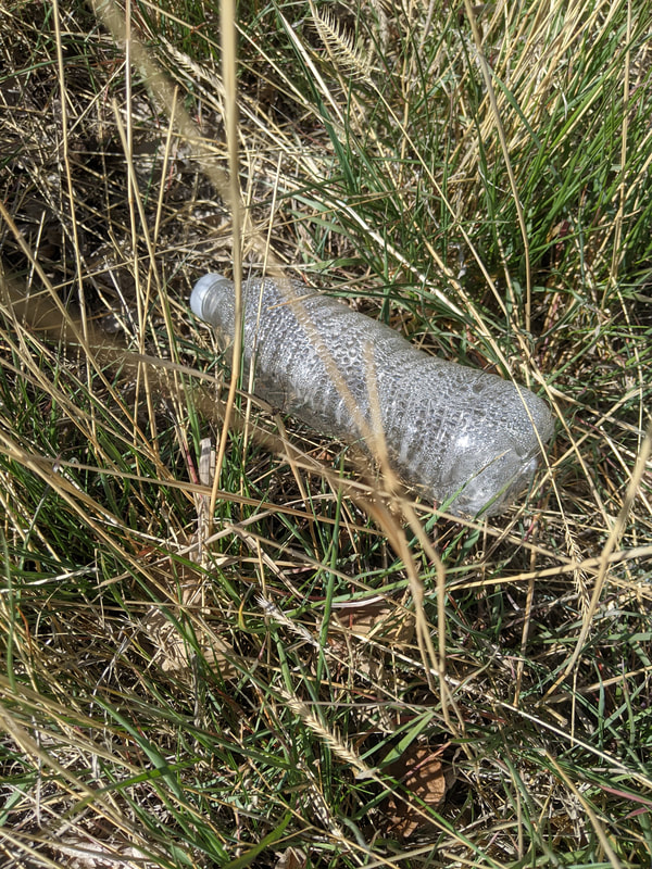 Plastic bottle in the grass